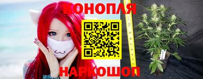шишки Малгобек