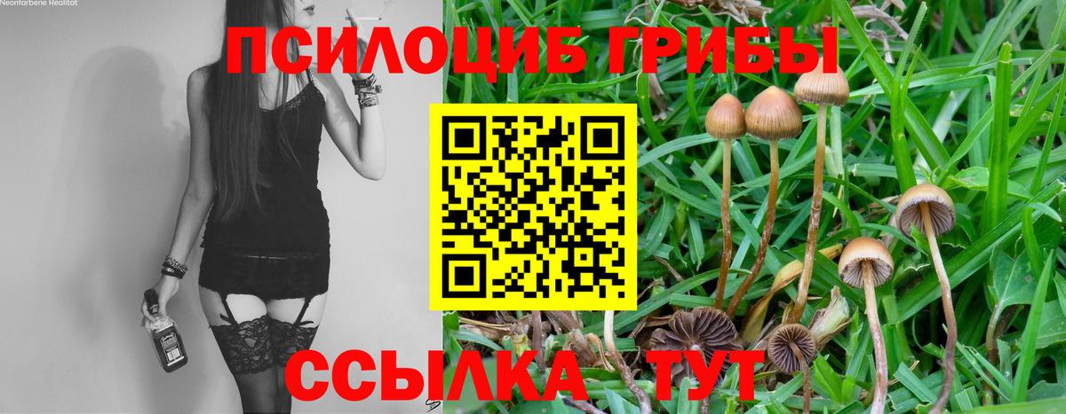 магазин    Галлюциногенные грибы ЛСД  Вход с VPN  Галлюциногенные грибы Psilocybe  Хабаровск 